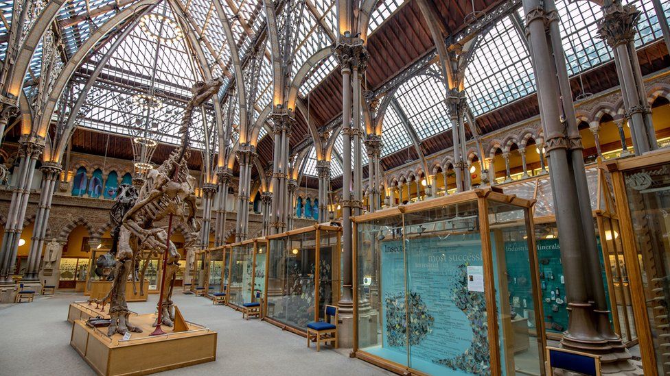 inside-the-nhm-2