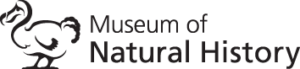 oxford-university-museum-of-natural-history