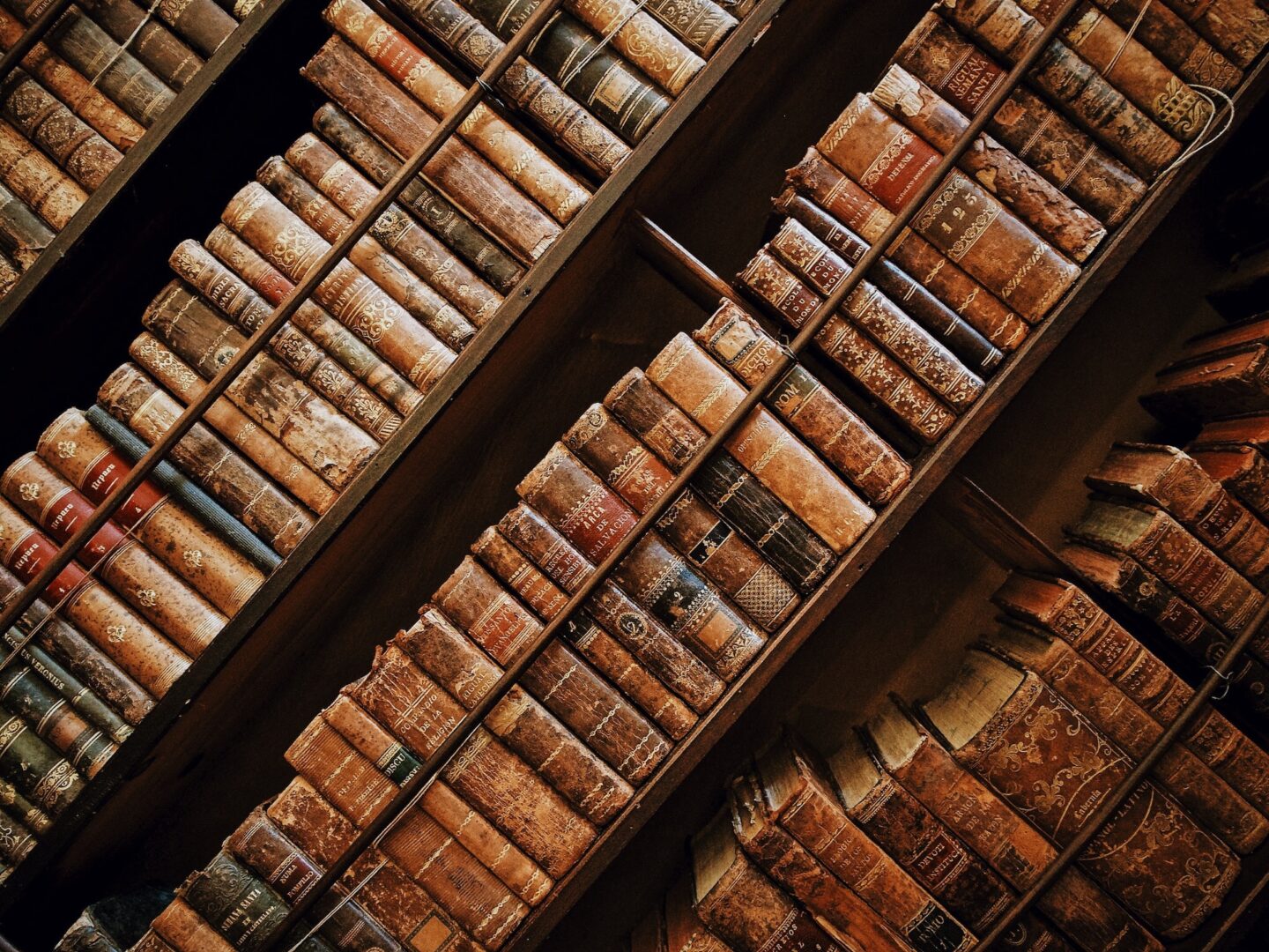 Stories in Translation project image