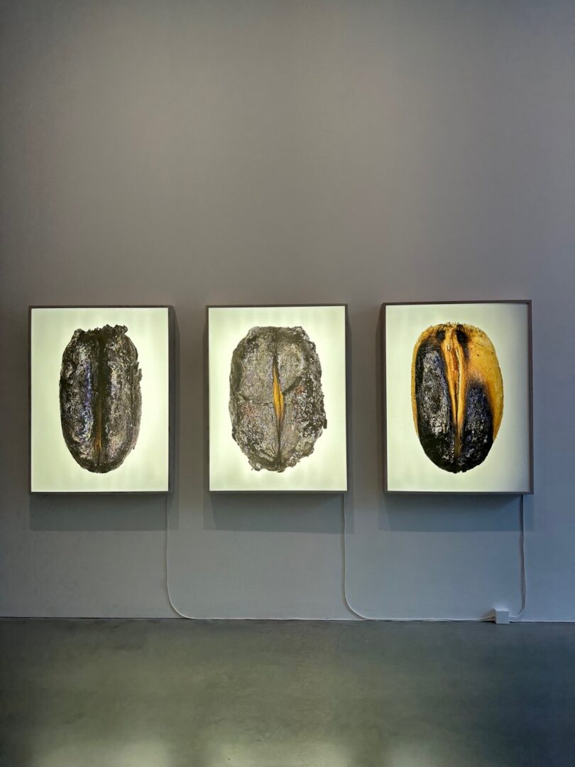 Kourbaj Urgent Archive Review